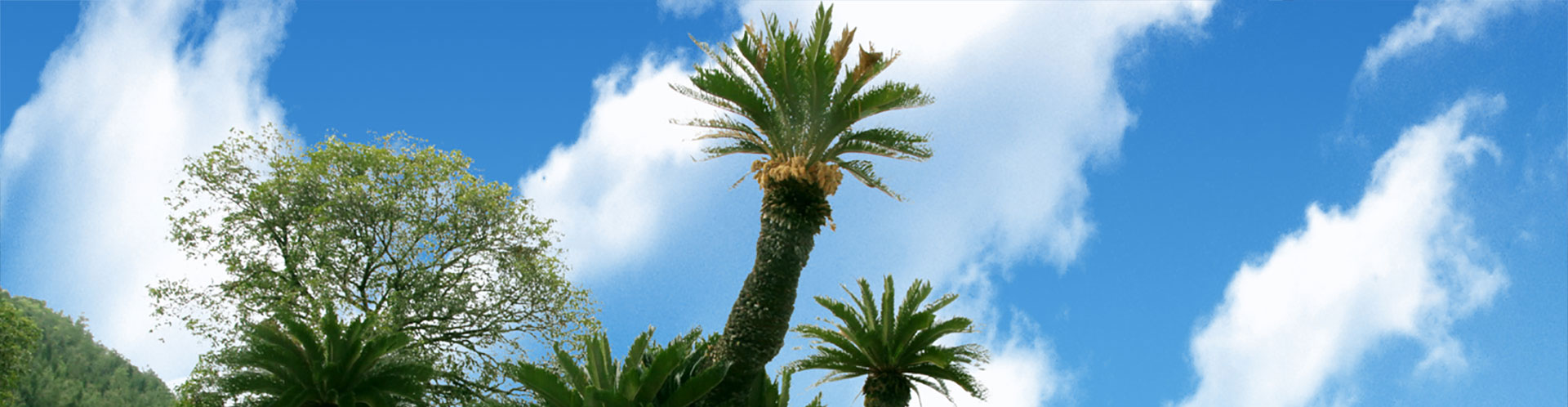 我命在我不在天 ，延長生命從有機(jī)生活開始。