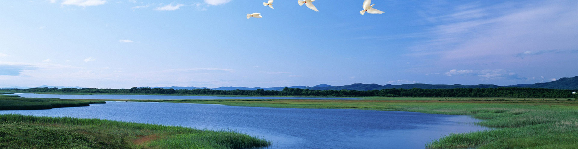 我們來于大自然，我們敬畏大自然，我們善待大自然。