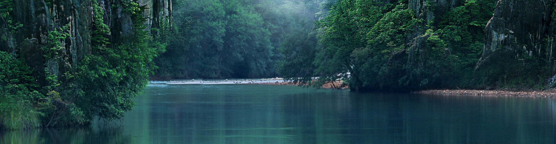 《國策》謂之良商，何必鬻良而雜苦，效魯人之晨飲其羊