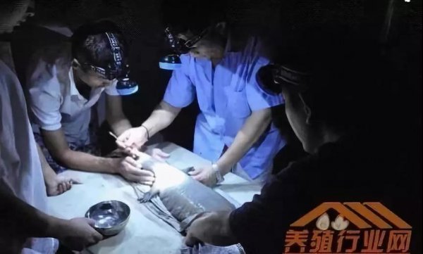 資本試水區(qū)塊鏈生物科技+大健康，場(chǎng)景應(yīng)用時(shí)代已然來(lái)臨！